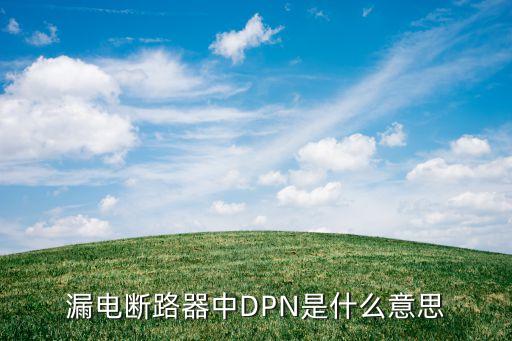 dnp是什么意思，dnp是什么