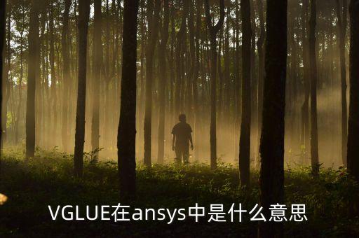 vglue在ansys中是什么意思