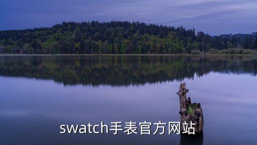 swatch手表官方网站