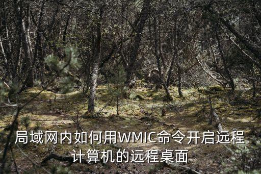 局域网内如何用wmic命令开启远程计算机的远程桌面